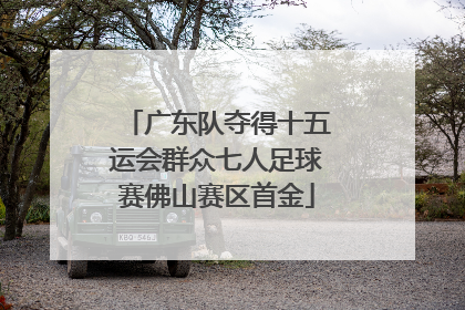 广东队夺得十五运会群众七人足球赛佛山赛区首金
