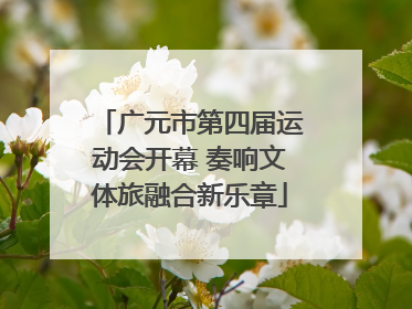 广元市第四届运动会开幕 奏响文体旅融合新乐章