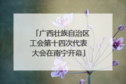 广西壮族自治区工会第十四次代表大会在南宁开幕