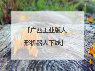 广西工业版人形机器人下线