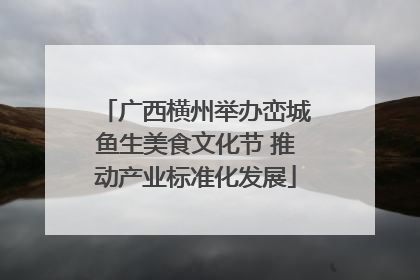 广西横州举办峦城鱼生美食文化节 推动产业标准化发展