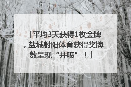 平均3天获得1枚金牌，盐城射阳体育获得奖牌数呈现“井喷”！
