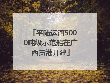 平陆运河5000吨级示范船在广西贵港开建