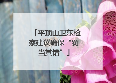 平顶山卫东检察建议确保“罚当其错”