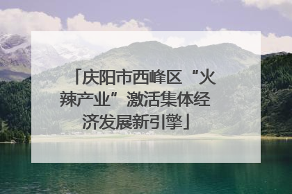 庆阳市西峰区“火辣产业”激活集体经济发展新引擎