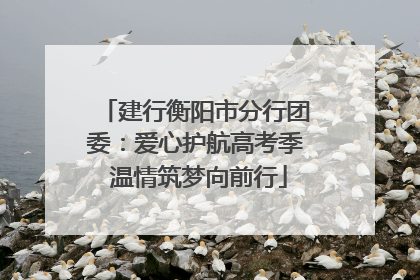 建行衡阳市分行团委：爱心护航高考季 温情筑梦向前行