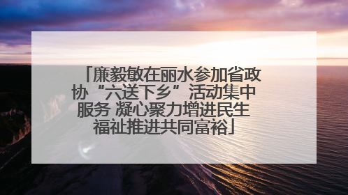 廉毅敏在丽水参加省政协“六送下乡”活动集中服务 凝心聚力增进民生福祉推进共同富裕