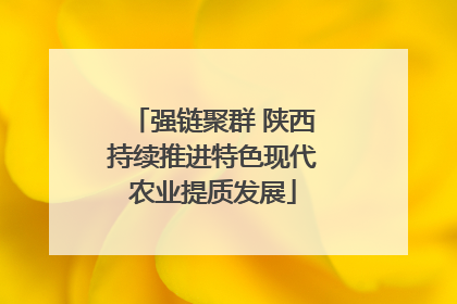 强链聚群 陕西持续推进特色现代农业提质发展