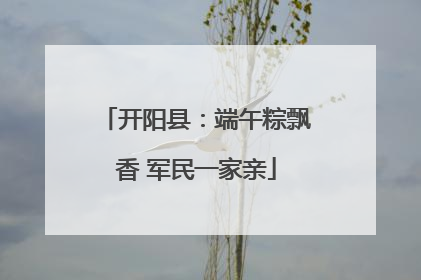 开阳县：端午粽飘香 军民一家亲