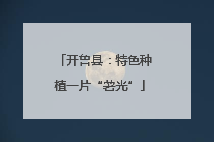 开鲁县：特色种植一片“薯光”