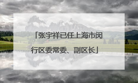 张宇祥已任上海市闵行区委常委、副区长