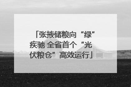 张掖储粮向“绿”疾驰 全省首个“光伏粮仓”高效运行