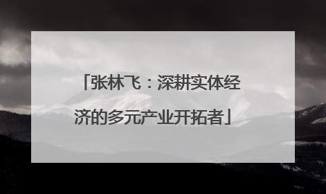 张林飞：深耕实体经济的多元产业开拓者