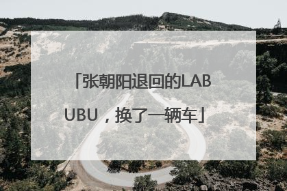 张朝阳退回的LABUBU，换了一辆车