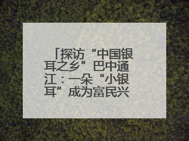 探访“中国银耳之乡”巴中通江：一朵“小银耳”成为富民兴县“大产业”