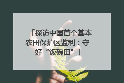 探访中国首个基本农田保护区监利：守好“饭碗田”
