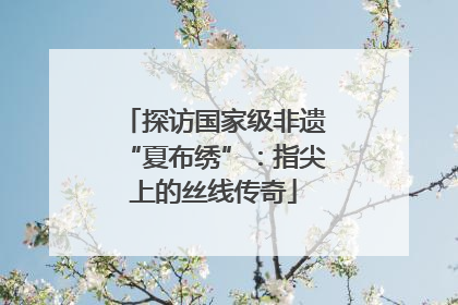 探访国家级非遗“夏布绣”：指尖上的丝线传奇