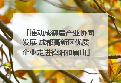 推动成德眉产业协同发展 成都高新区优质企业走进德阳和眉山