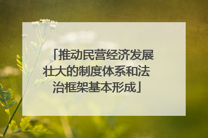 推动民营经济发展壮大的制度体系和法治框架基本形成