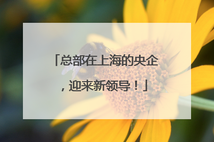 总部在上海的央企，迎来新领导！