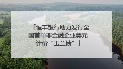 恒丰银行助力发行全国首单非金融企业美元计价“玉兰债”