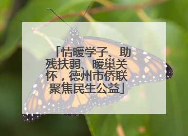 情暖学子、助残扶弱、暖巢关怀，德州市侨联聚焦民生公益