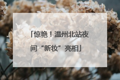 惊艳！温州北站夜间“新妆”亮相