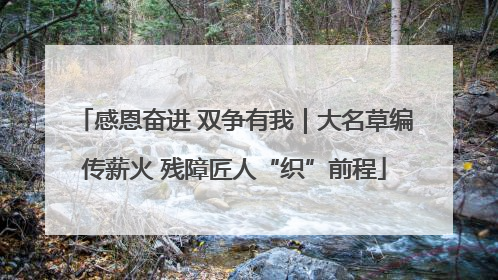 感恩奋进 双争有我｜大名草编传薪火 残障匠人“织”前程