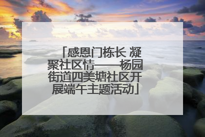 感恩门栋长 凝聚社区情——杨园街道四美塘社区开展端午主题活动