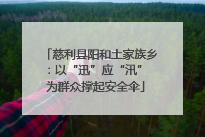 慈利县阳和土家族乡：以“迅”应“汛” 为群众撑起安全伞