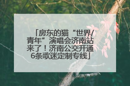 房东的猫“世界/青年”演唱会济南站来了！济南公交开通6条歌迷定制专线