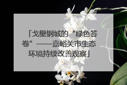 戈壁钢城的“绿色答卷”——嘉峪关市生态环境持续改善观察