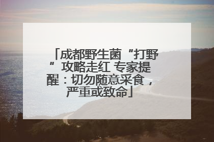 成都野生菌“打野”攻略走红 专家提醒：切勿随意采食，严重或致命
