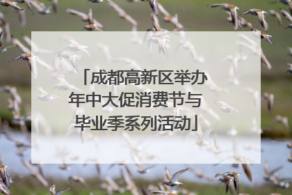 成都高新区举办年中大促消费节与毕业季系列活动
