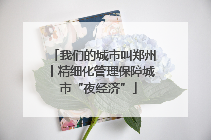 我们的城市叫郑州丨精细化管理保障城市“夜经济”