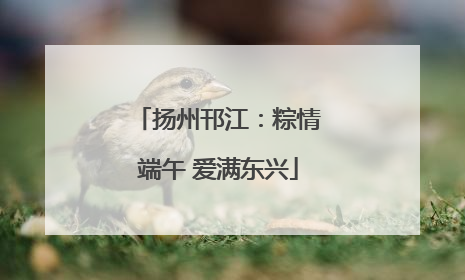 扬州邗江：粽情端午 爱满东兴