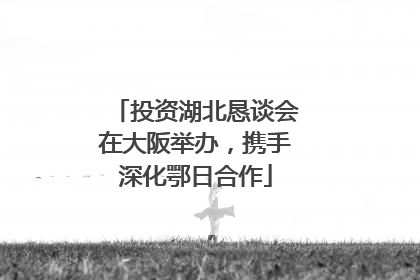 投资湖北恳谈会在大阪举办，携手深化鄂日合作