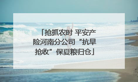 抢抓农时 平安产险河南分公司“抗旱抢收”保夏粮归仓