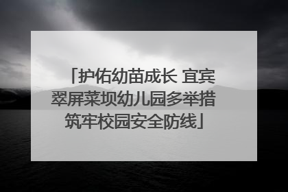 护佑幼苗成长 宜宾翠屏菜坝幼儿园多举措筑牢校园安全防线
