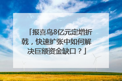 报喜鸟8亿元定增折戟，快速扩张中如何解决巨额资金缺口？