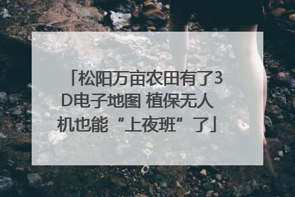 松阳万亩农田有了3D电子地图 植保无人机也能“上夜班”了