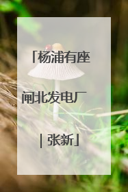 杨浦有座闸北发电厂｜张新