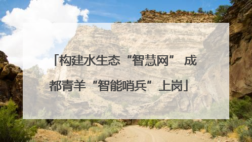 构建水生态“智慧网” 成都青羊“智能哨兵”上岗