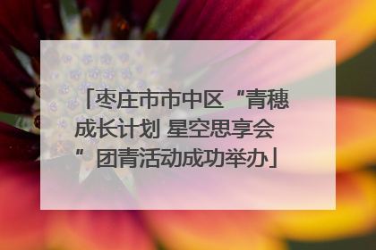 枣庄市市中区“青穗成长计划 星空思享会”团青活动成功举办