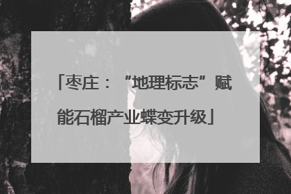 枣庄：“地理标志”赋能石榴产业蝶变升级