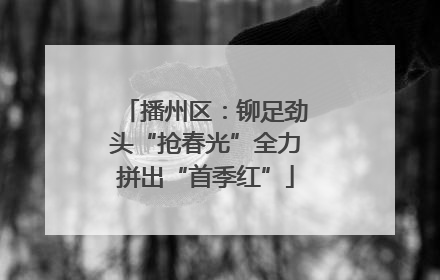 播州区：铆足劲头“抢春光”全力拼出“首季红”