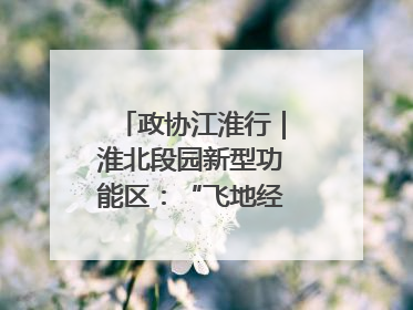 政协江淮行｜淮北段园新型功能区：“飞地经济”拔节生长