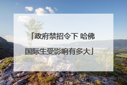 政府禁招令下 哈佛国际生受影响有多大