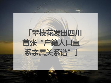 攀枝花发出四川首张“户籍人口直系亲属关系谱”