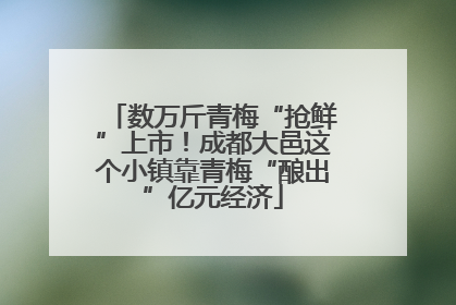 数万斤青梅“抢鲜”上市！成都大邑这个小镇靠青梅“酿出”亿元经济